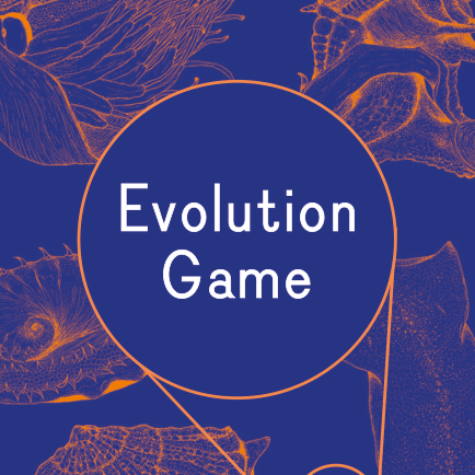RISE Evolution Game
